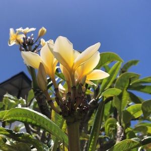 Meet your Posher, Trinity